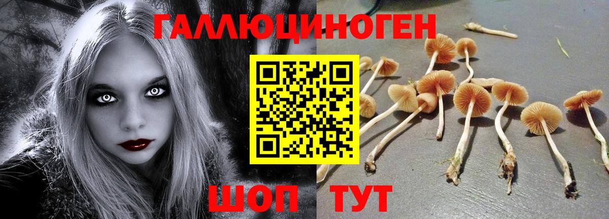 Псилоцибиновые грибы Magic Shrooms Жигулёвск